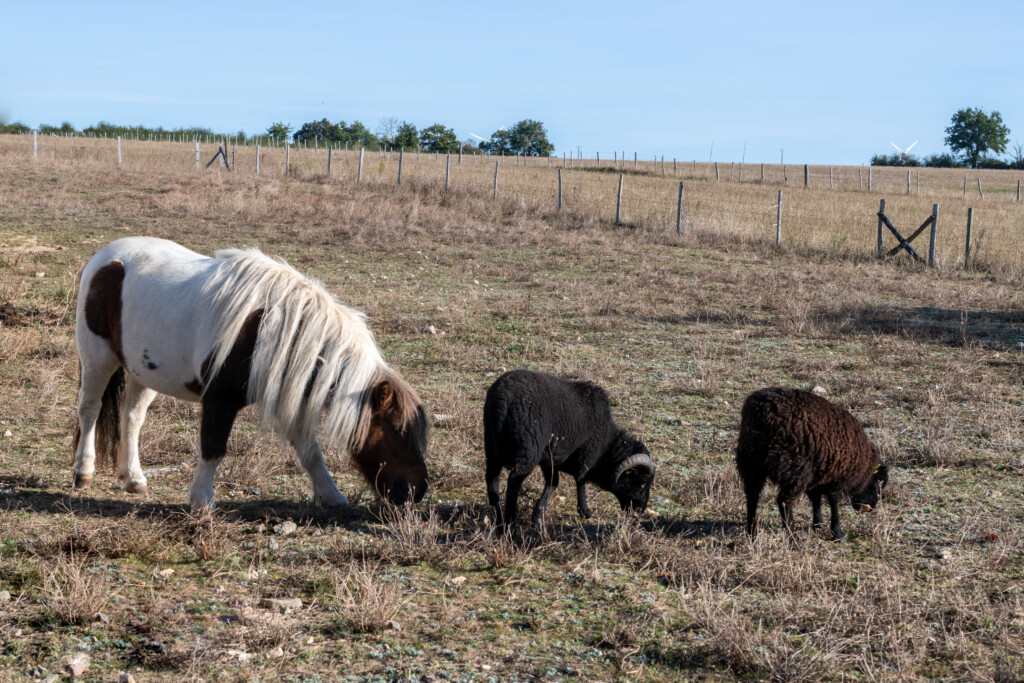 Pompes Funebres St Mars La Jaille 051