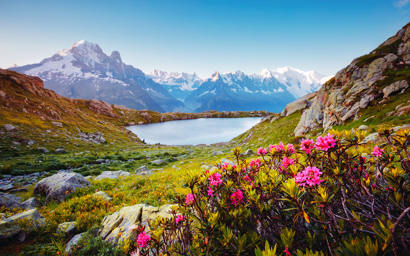 Great Mont Blanc Glacier With Lac Blanc. Location Place Chamonix